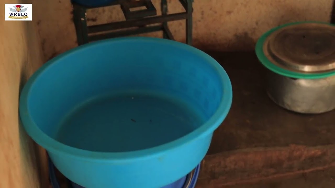 Hadassah Primary Video