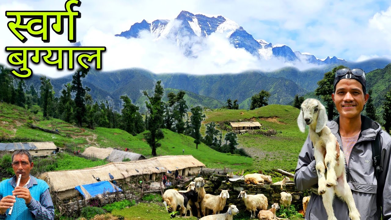 चरवाहों का पशु बुग्याल सचमुच स्वर्ग है यहाँ 😍 || Pahadi Lifestyle Vlog || Devbhoomi Vlogs