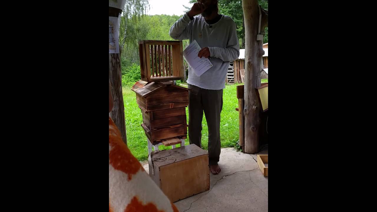 Marius apie bites, &scaron;altį ir drėgmę.