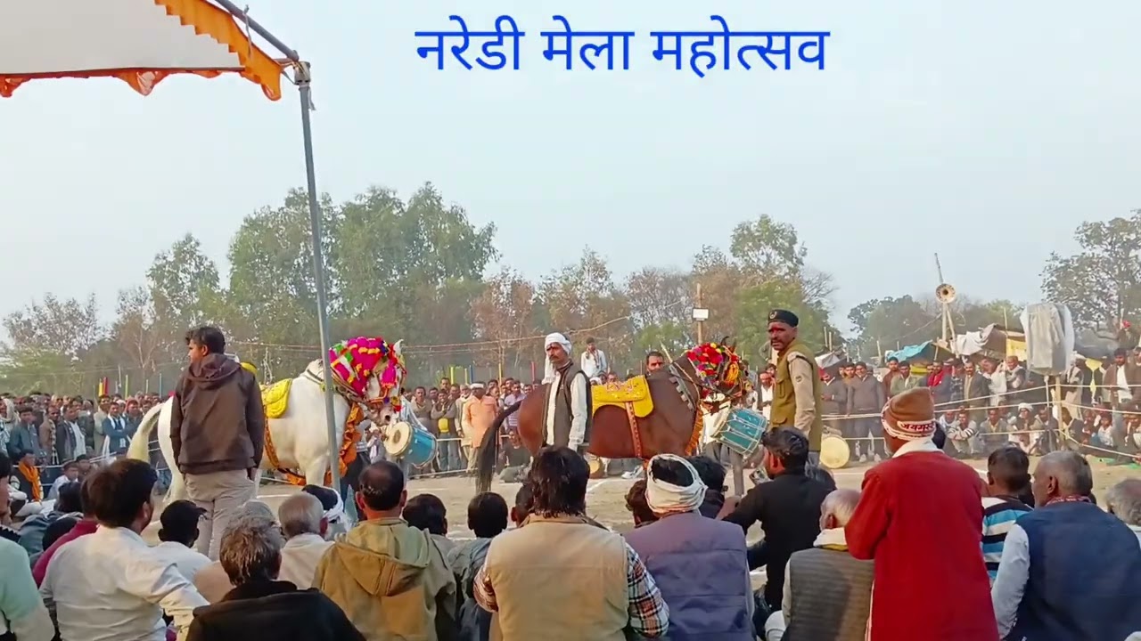 मेला महोत्सव नरेडी महोबा मर्दन सिंह यादव सुगिरा अंगद यादव सुगिरा घोड़े का डांस कंपटीशन