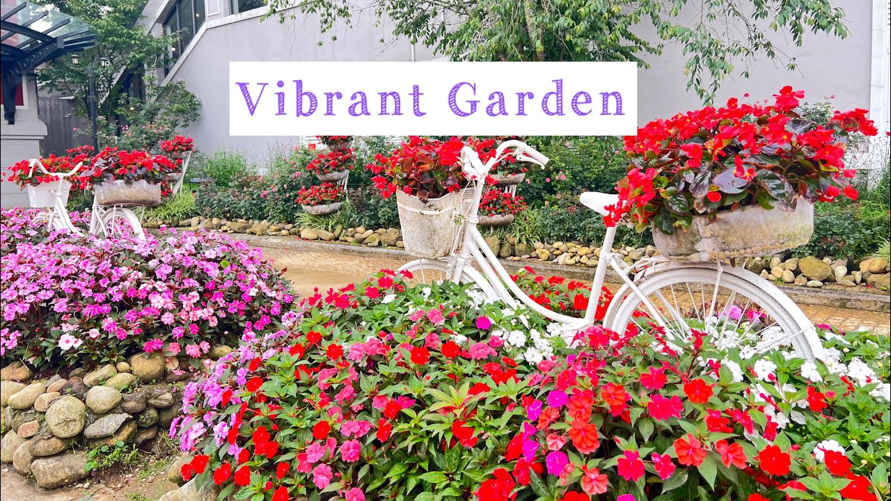 Vibrant Garden #trending 