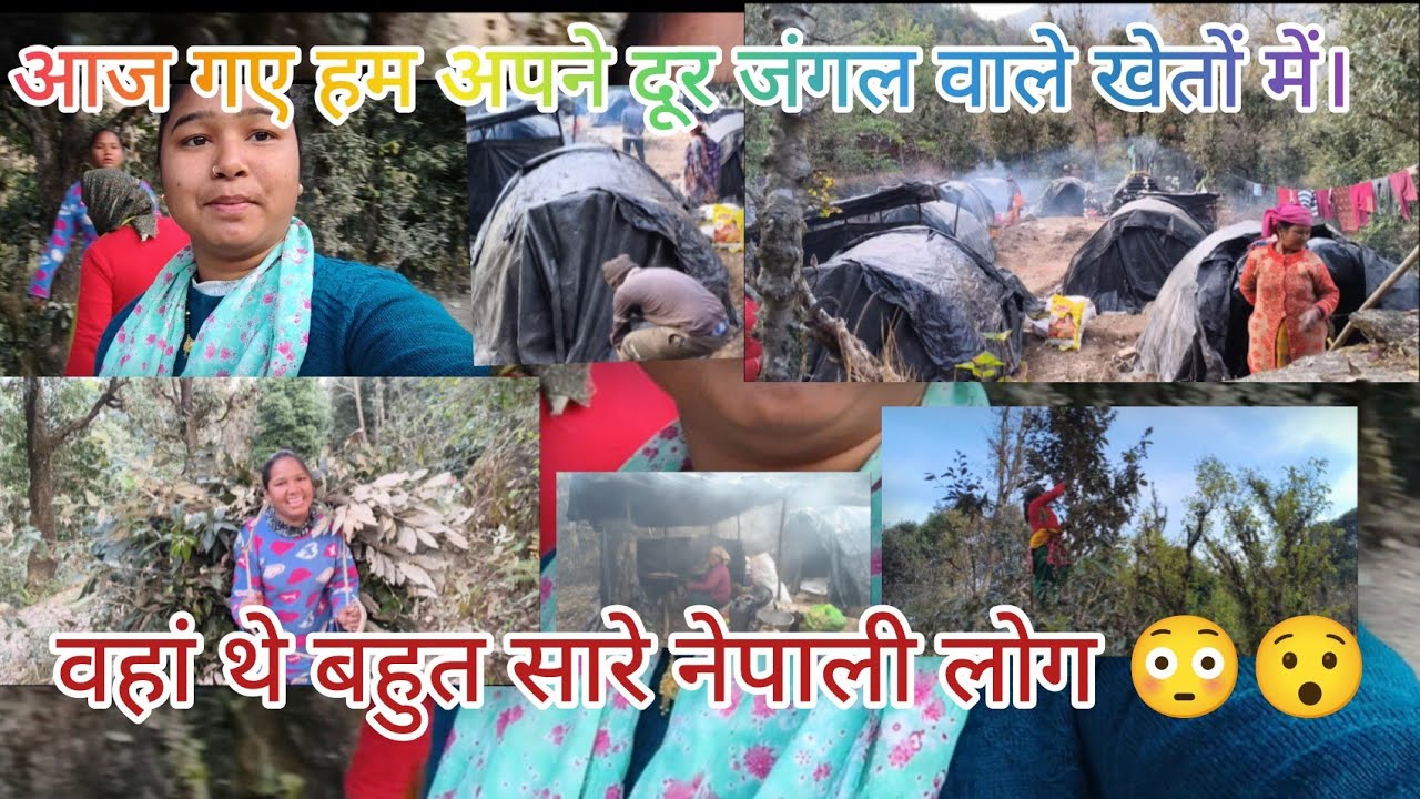 थोड़ा सा घूम गस्त और पहाड़ियों दगड़ी वे जा मस्त।