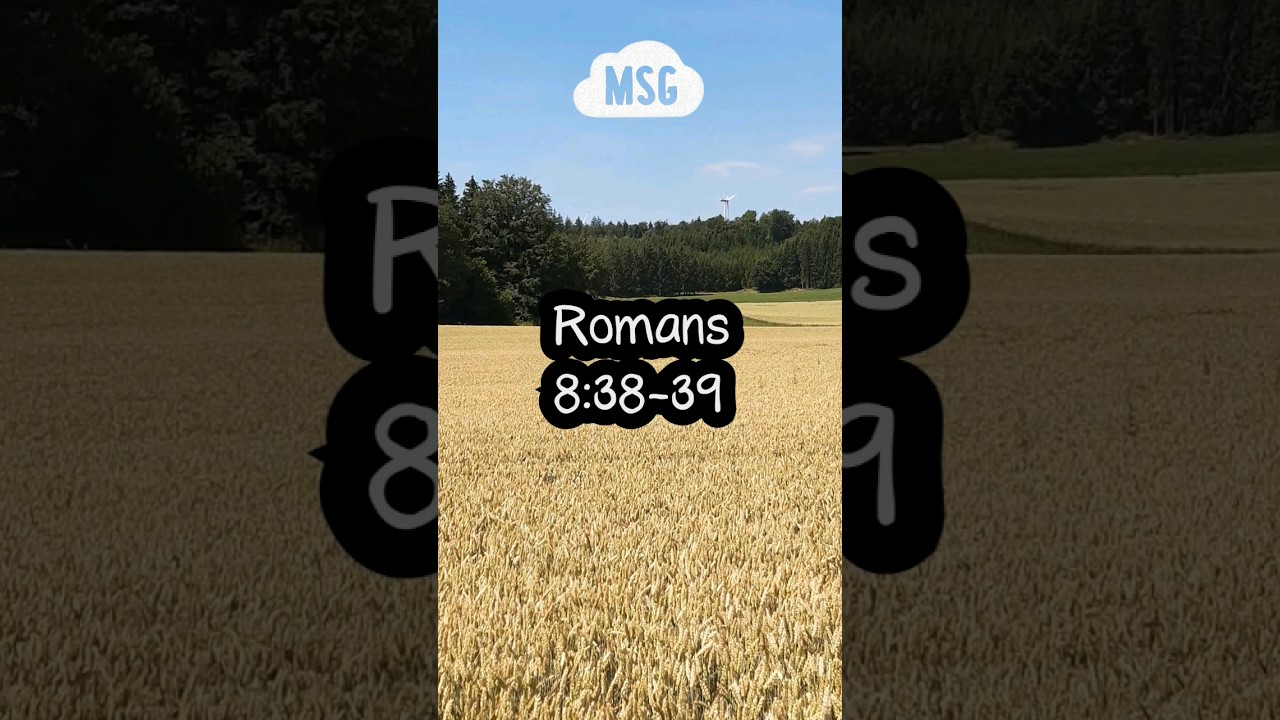 A Bible verse to inspire you 😇 Romans 8:38-39