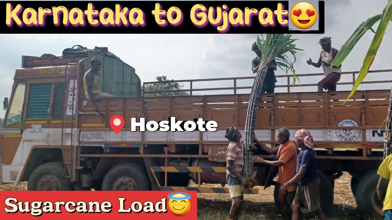 First time கரும்பு ஏற்றலாம் வாங்க🫠🚛||பாவம்ங்க தூத்துக்குடி போன லாரி எல்லாம்🥲🤐#ttvfamily