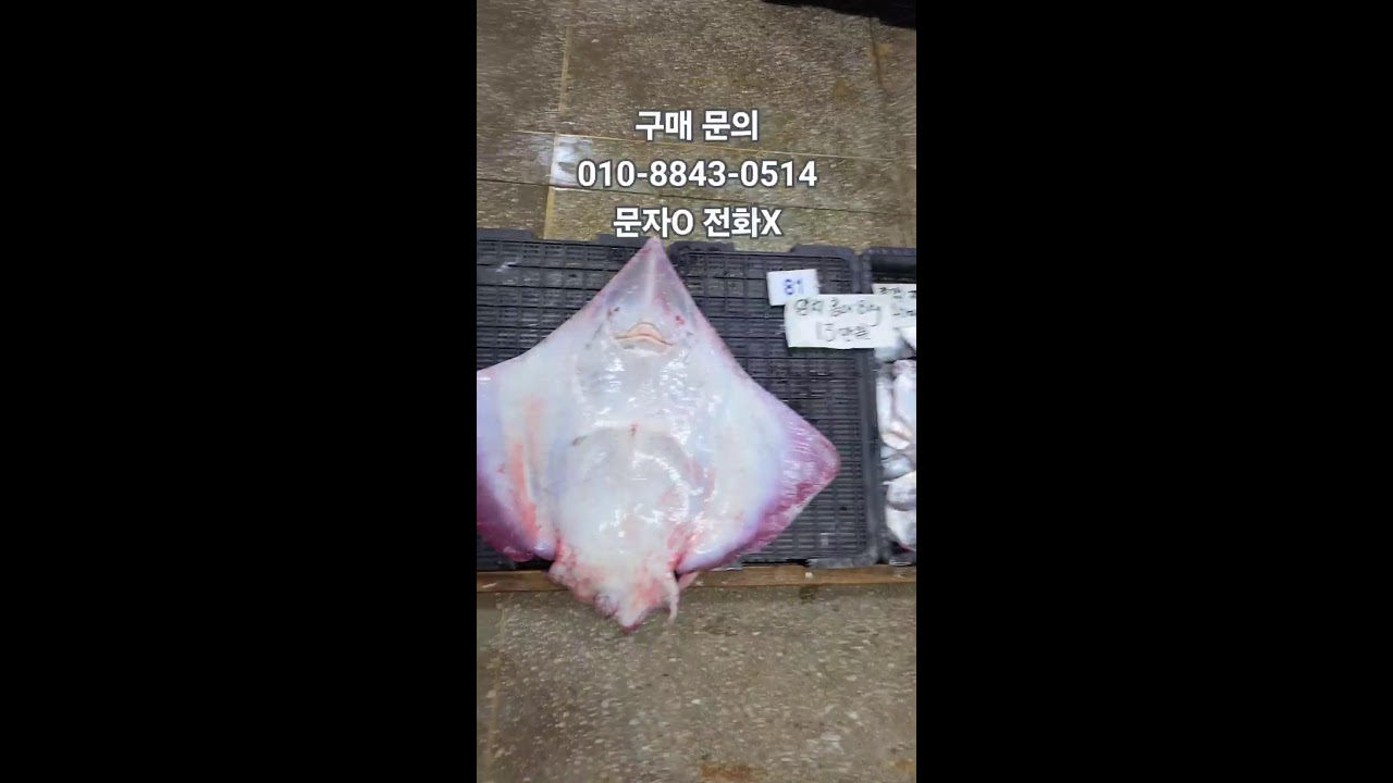 02/04 만해수산 어판장2