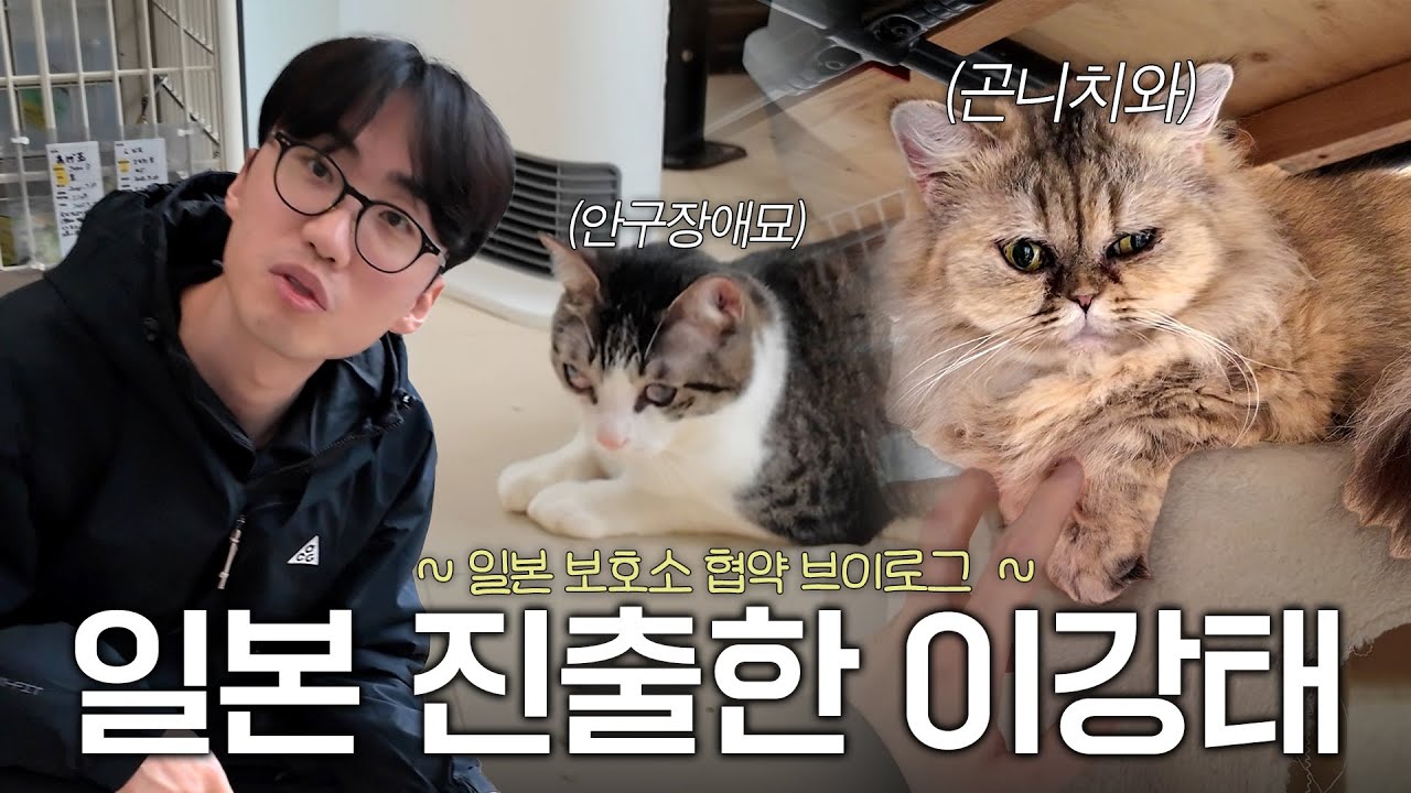 일본 보호단체와 미팅을 위해 일본으로 떠났습니다.