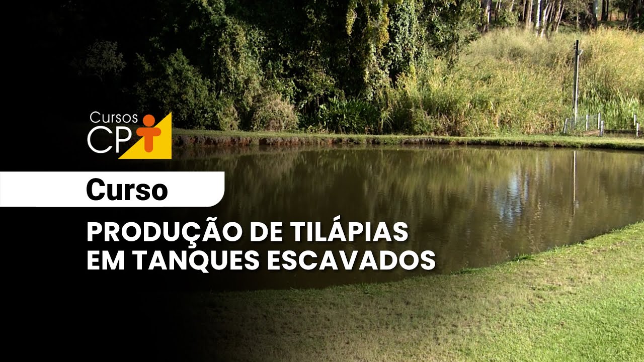 Produ&ccedil;&atilde;o de Til&aacute;pias em Tanques Escavados l Cursos CPT