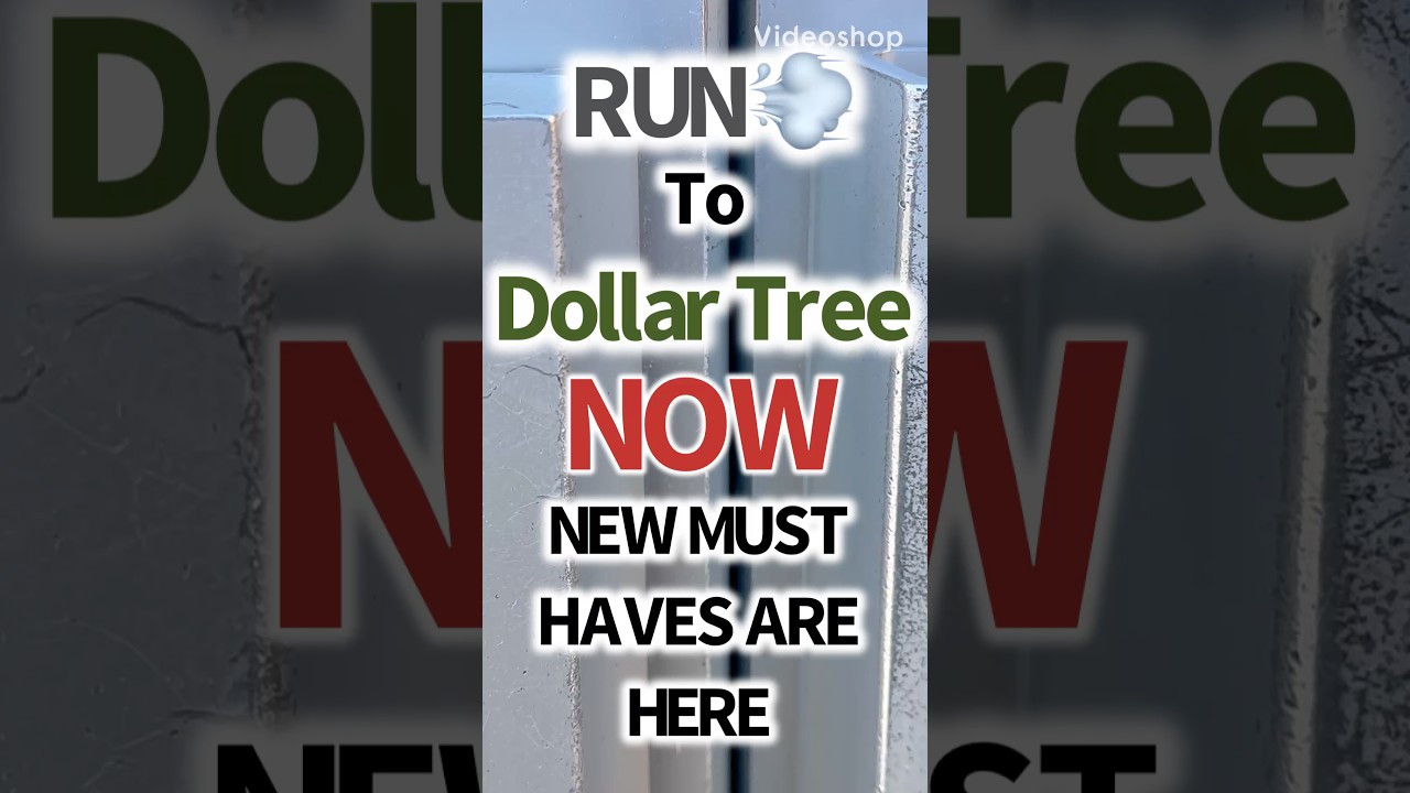GRAB BEFORE THEY ARE GONE‼️ #dollartree #new #shopping