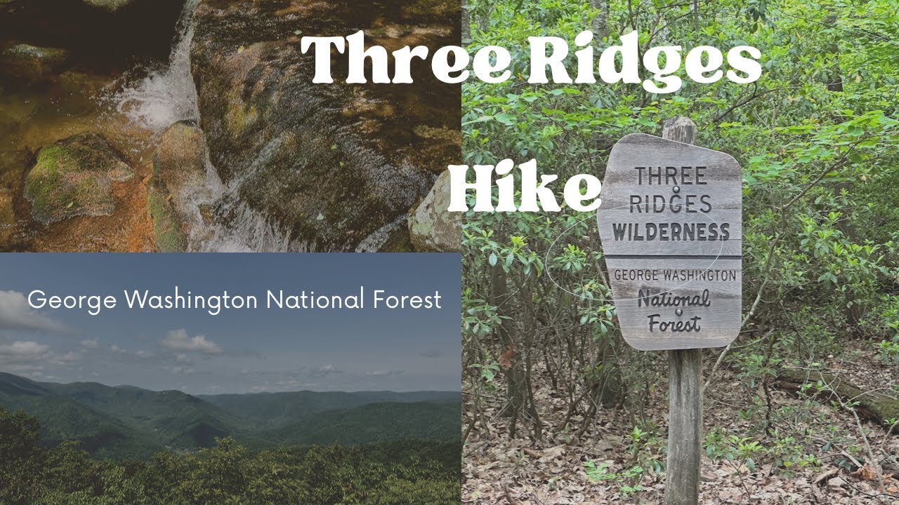Hiking Three Ridges Trail | George Washington National Forest | Virginia
