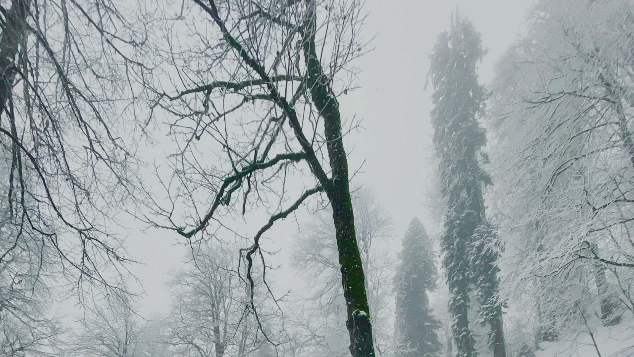 Winter One Day / RAPRIN