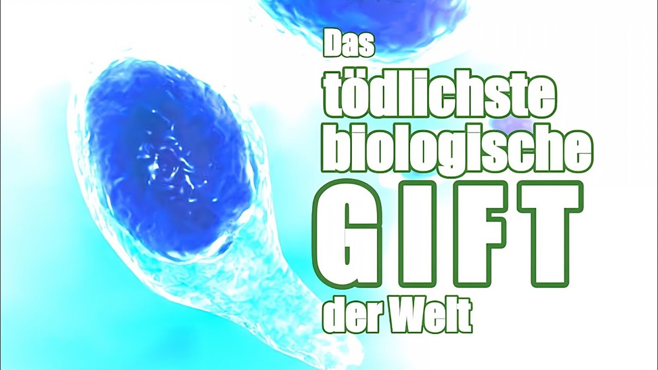Botulismus - Das Toxin von Clostridium botulinum - Neurophysiologische Wirkung und Erklärung
