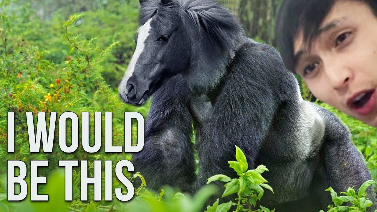 WHAT WOULD YOU BE? ◄ SingSing Dota 2 Highlights