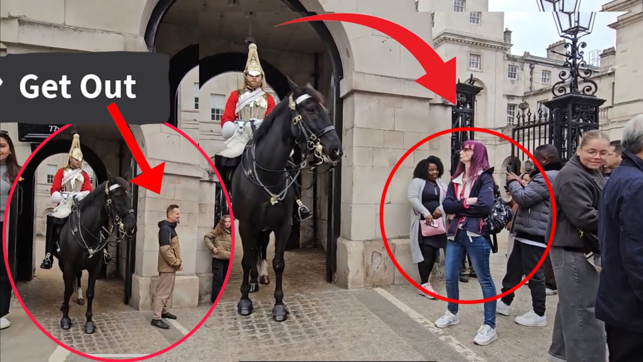 WATCH THIS! Horse senses something weird in this situation! See the horse's reaction |  Royal Guard.
