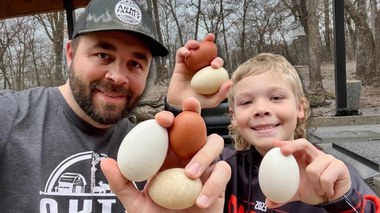 Goose vs Duck vs Chicken Egg Taste Testing