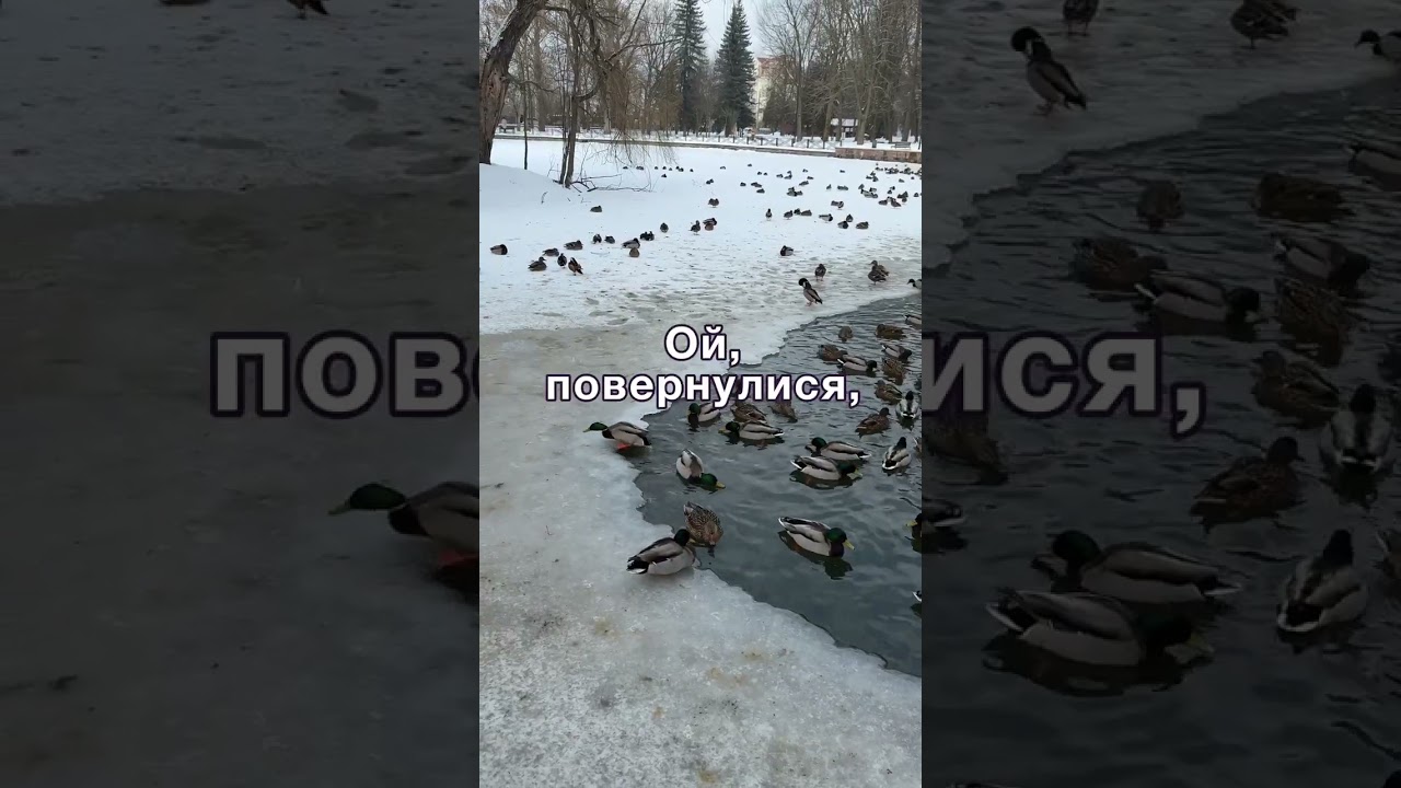 Свекруха з самого початку вирішила втручатися у життя молодят, але невістка швидко поставила 