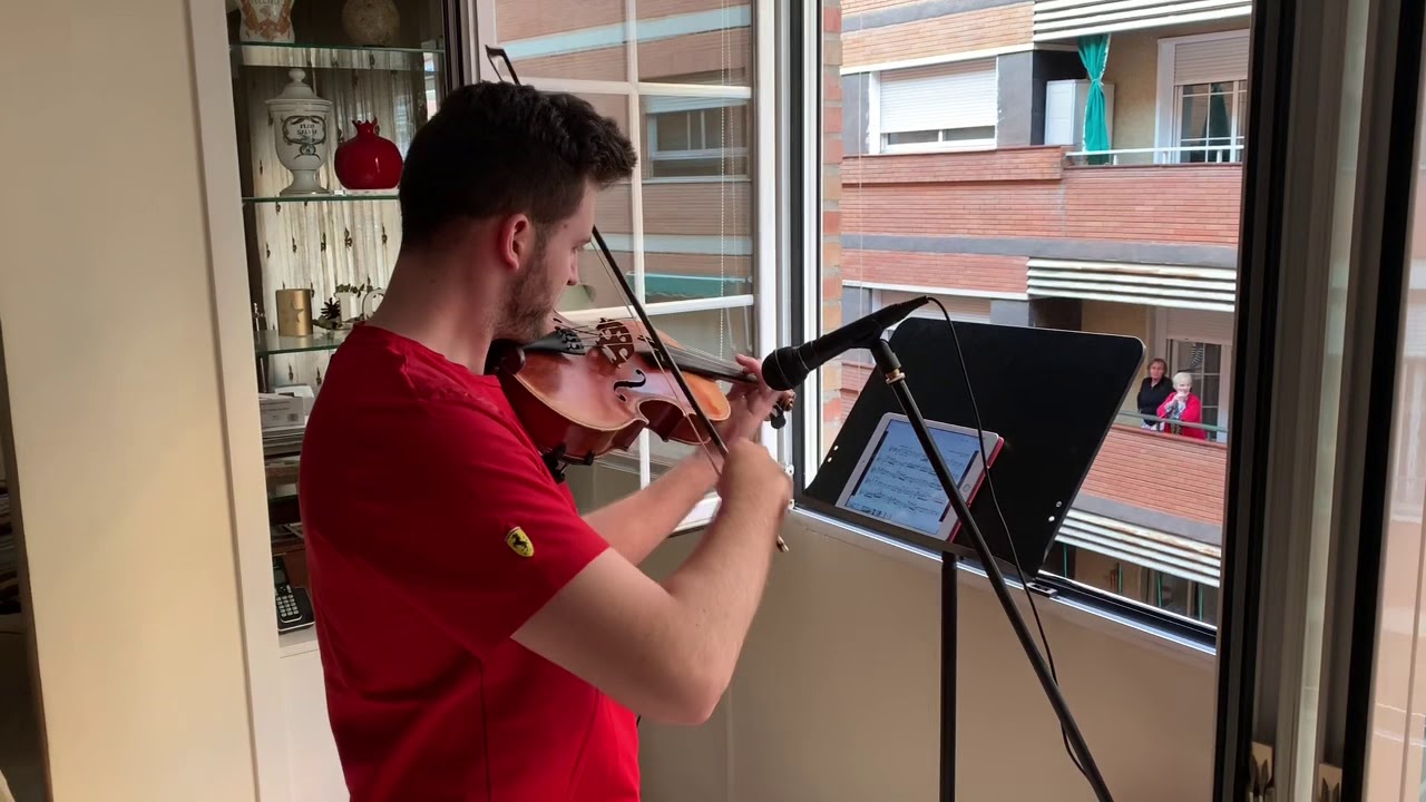 Chopin Nocturno 2 Op. 9 (viola arrangement)