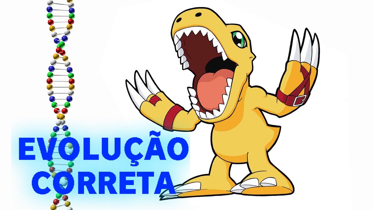 Agumon (S) - Evolução Correta