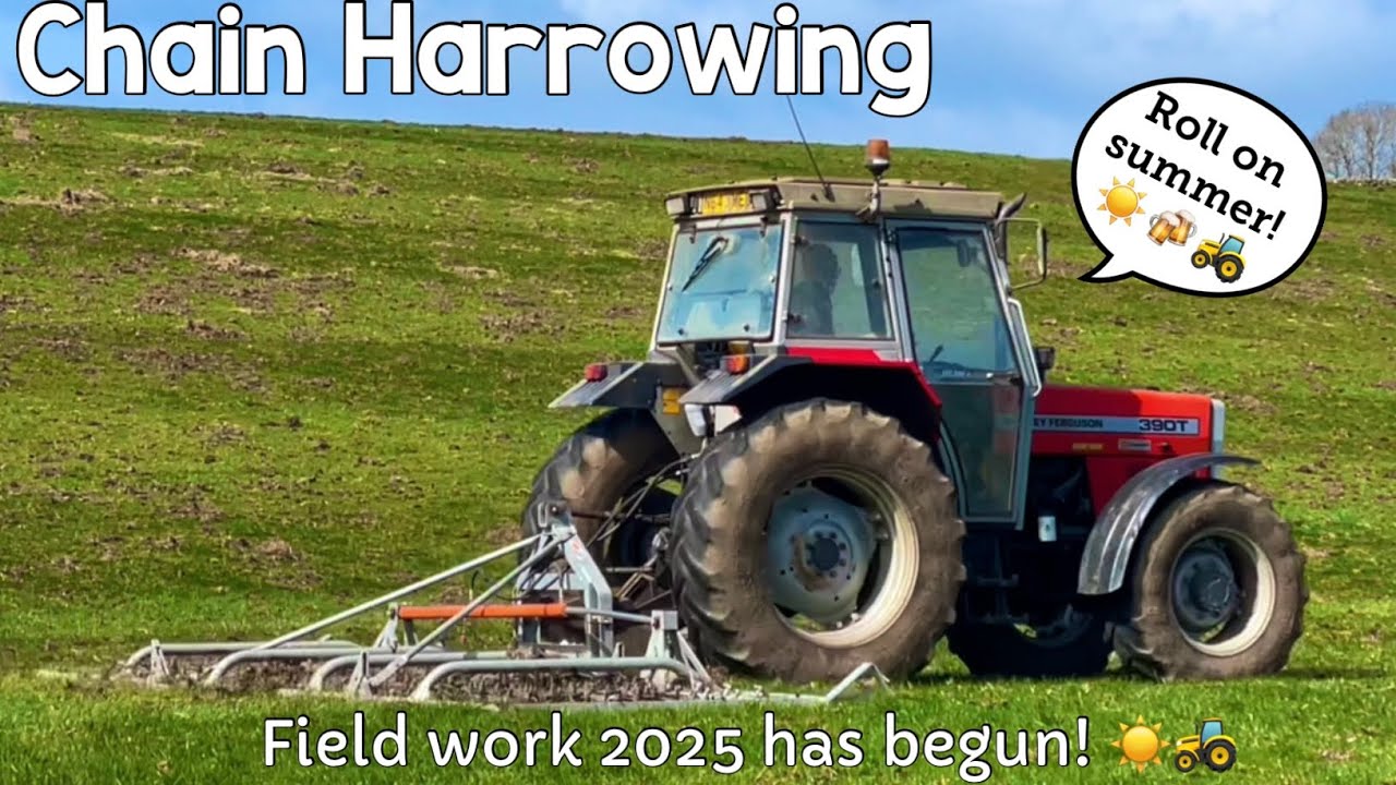 Chain Harrowing on the Massey Ferguson 390T | Field Work 2025 has begun - Drone Footage