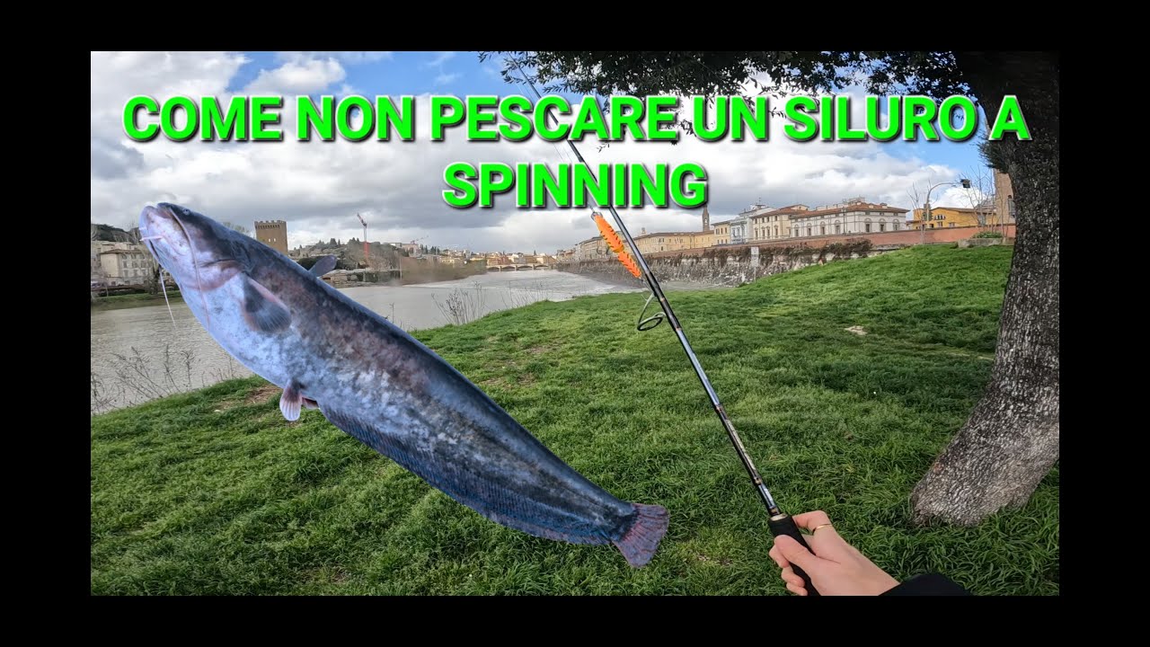 SPINNING AL SILURO PT.1