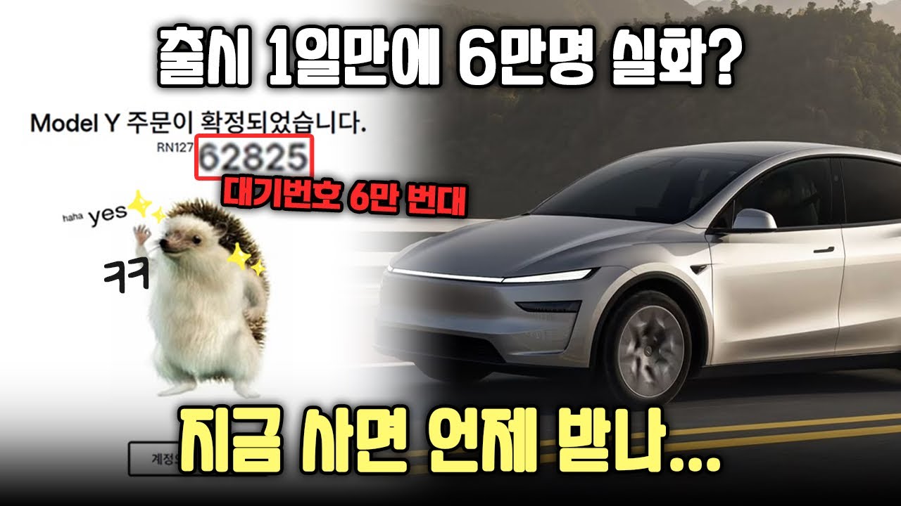 테슬라 모델 YL 기습 출시! 지금 당장 구매해야 하는이유! (인도 시기 팩트체크)