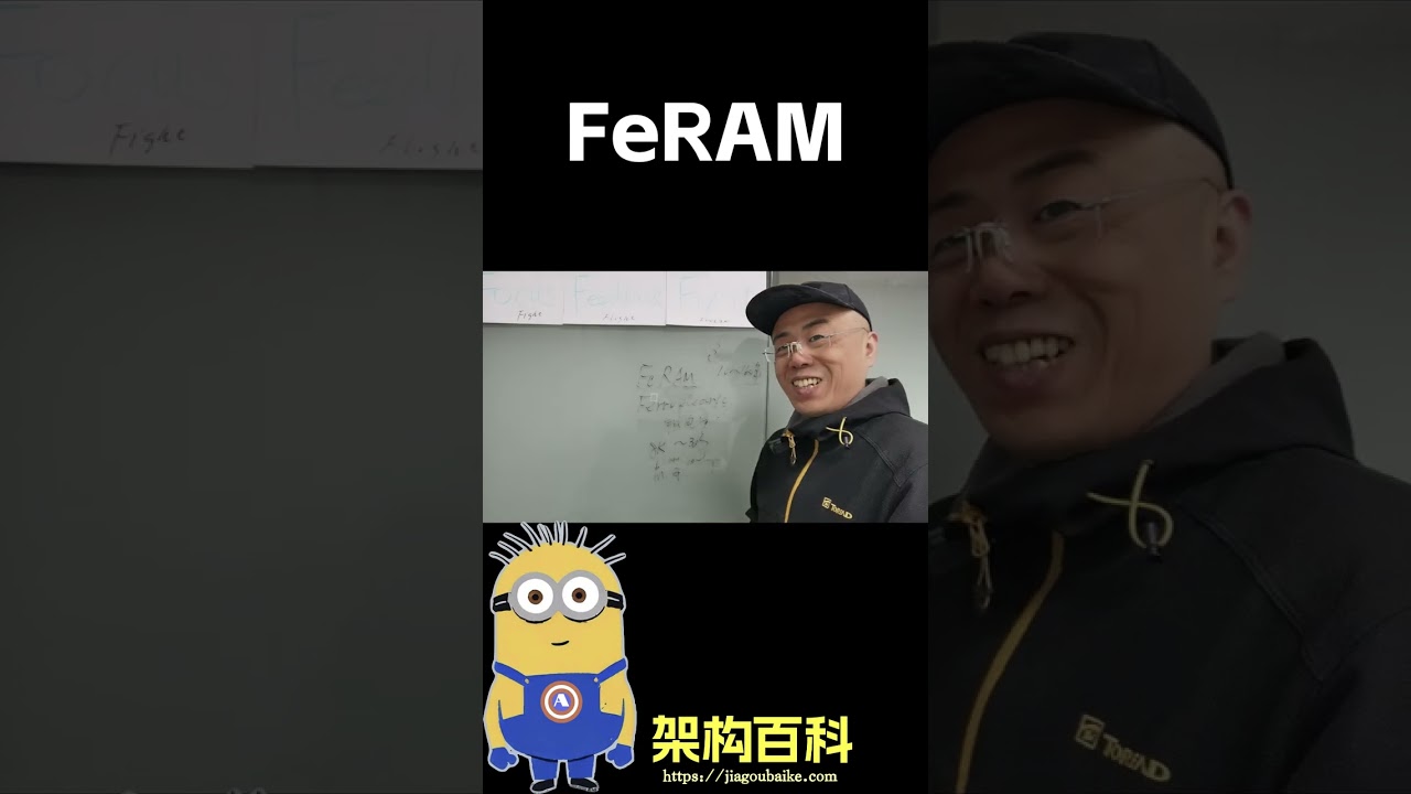 啥是FeRAM？ 它有啥突出的优点？#存储