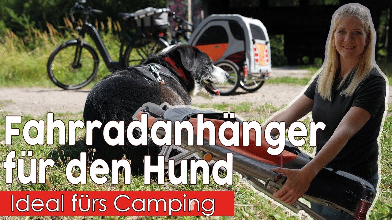 Ideal fürs Camping 🏕 Das ist unser Hunde-Fahrradanhänger🚲 Petego Comfort Wagon🐶