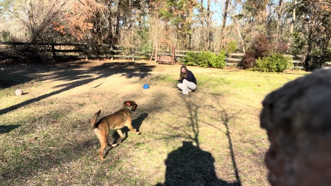 Repairing play with Ryder 