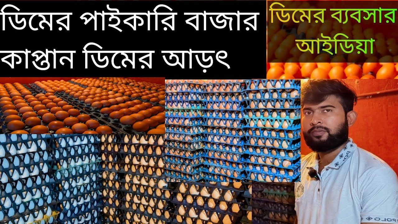ডিমের পাইকারি দরদাম অক্টোবর 2025 | ডিমের ব্যবসার আইডিয়া | কাপ্তান বাজার পাইকারি ডিমের আড়ত