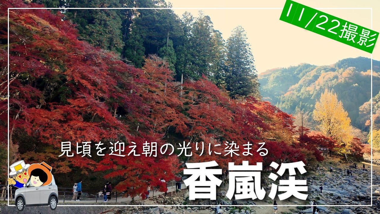 【11/22（土）の香嵐渓】紅葉の赤・黄・橙が朝の光で目を覚まし染まっていく様を撮影。