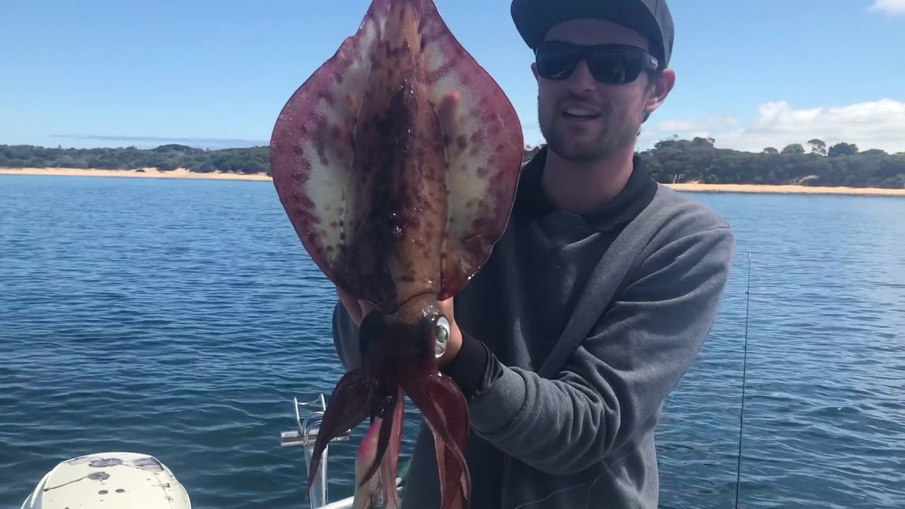 Mega Westernport Calamari