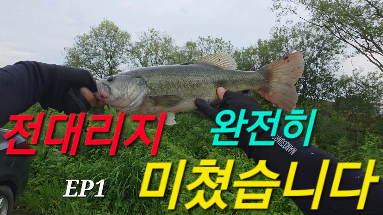 여름배스낚시 최고지....최고!!! 전대리저수지 1편  #배스 #배스낚시 #여름낚시 #탑워터 #전대리저수지