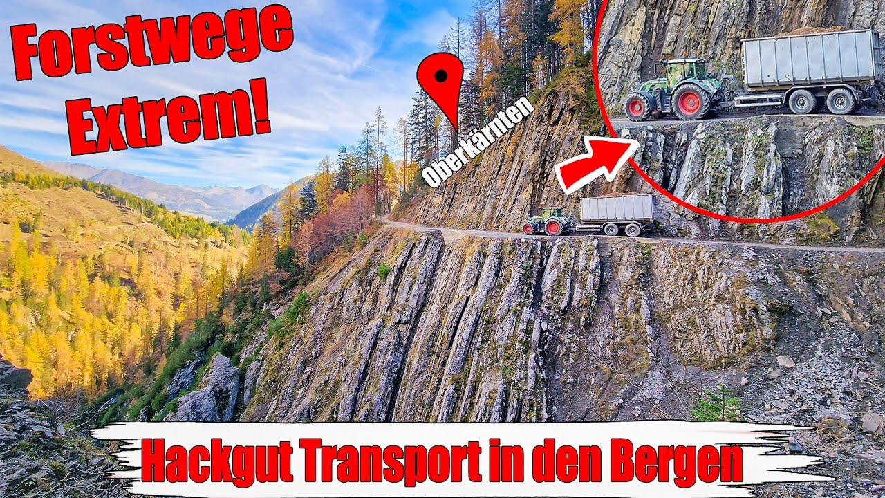 Hackgut-Transport in den Bergen | Forstwege EXTREM in Oberkärnten | Fendt Cabwiev 🚜