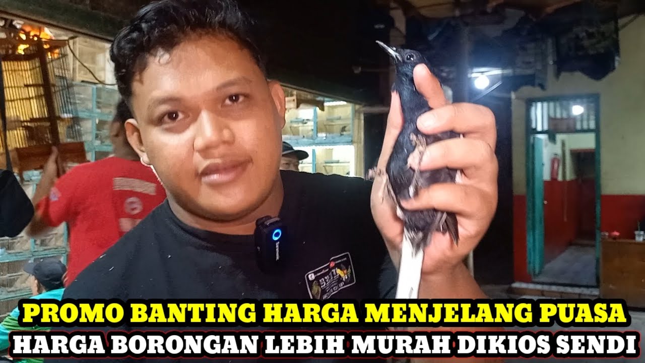 PROMO BANTING HARGA MENJELANG PUASA DIKIOS SENDI PASAR BURUNG PRAMUKA HARI INI