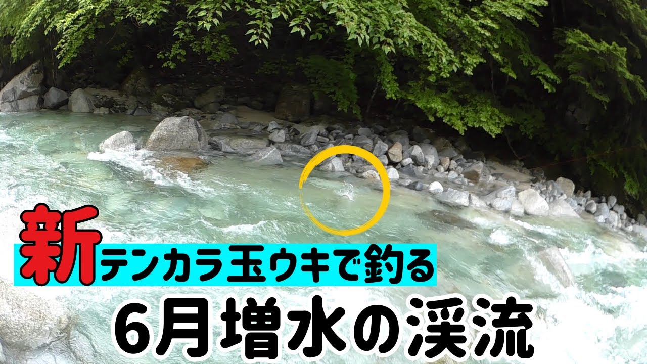 【テンカラ釣り】新テンカラ玉ウキ仕掛けで釣る6月増水の渓流