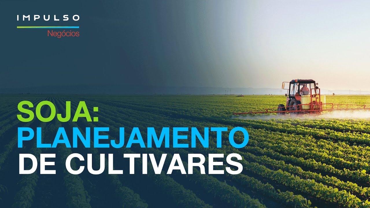Soja: como planejar as cultivares | Impulso Neg&oacute;cios EP. 157