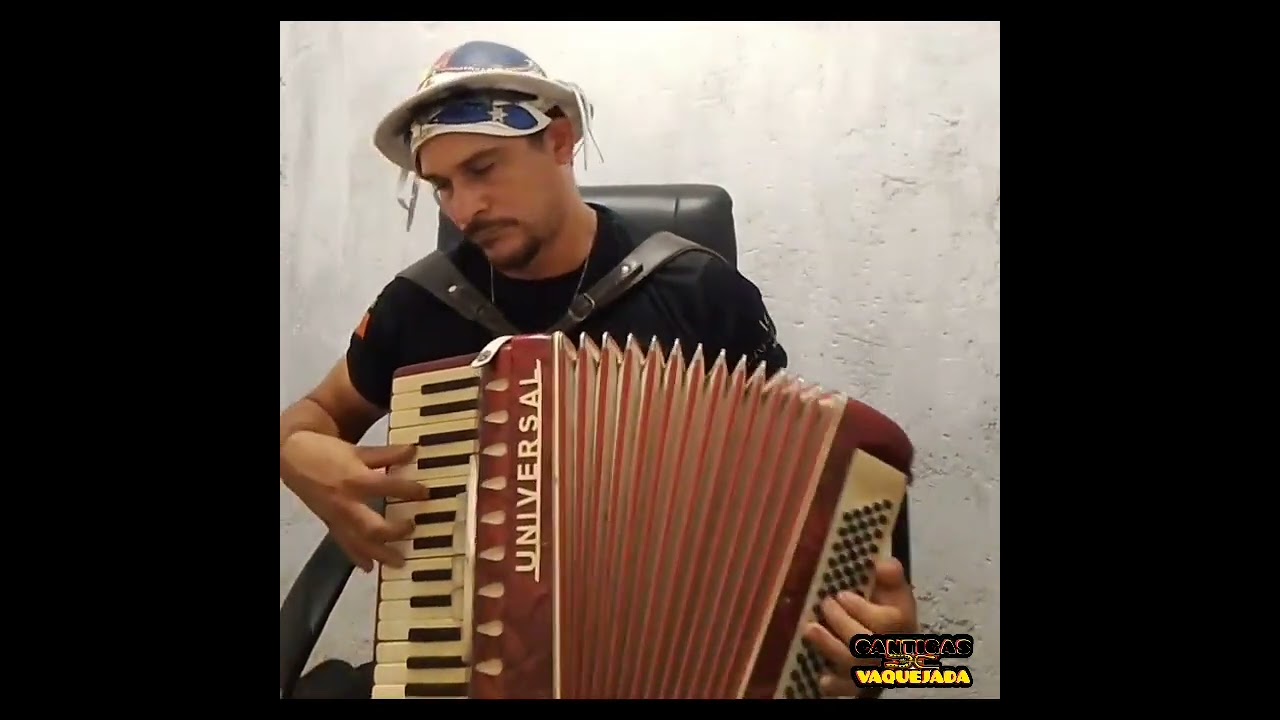 música: menino bicho