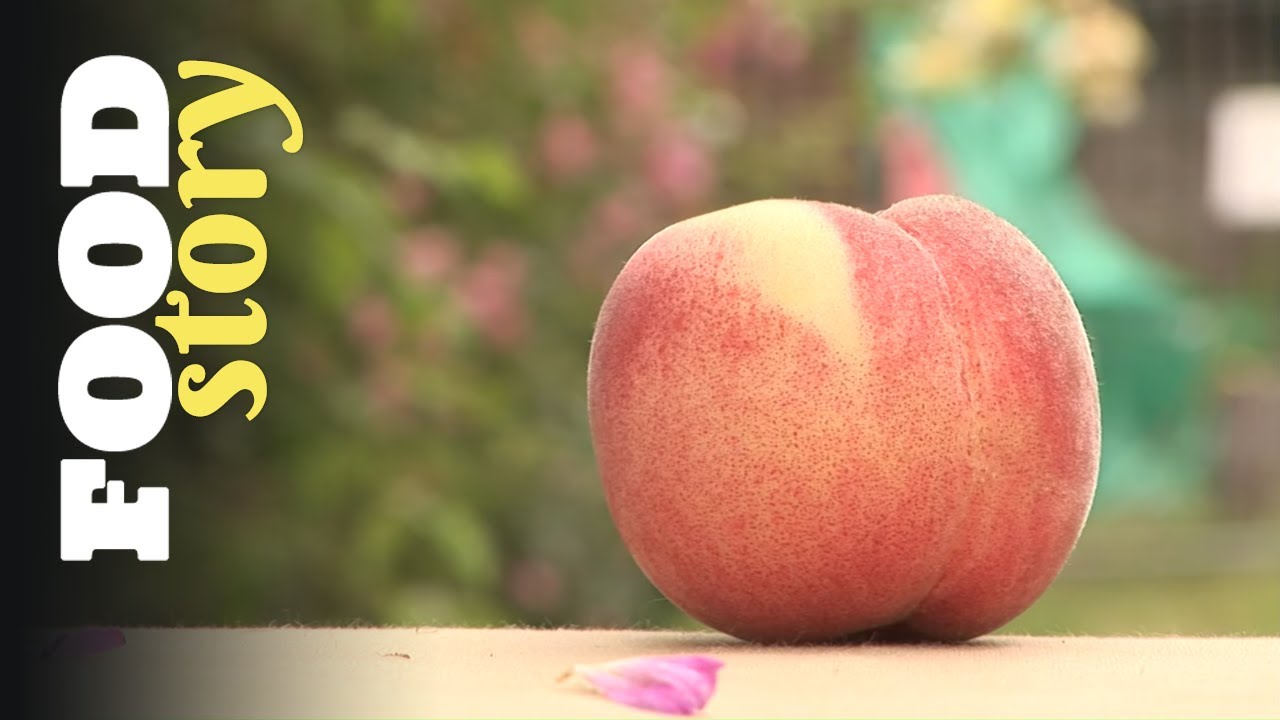 Pêches, nectarines, c'est l'été !