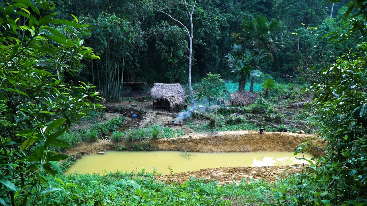 Complete the fish pond and repair the hut | LIVING OFF THE GRID | Episode 88
