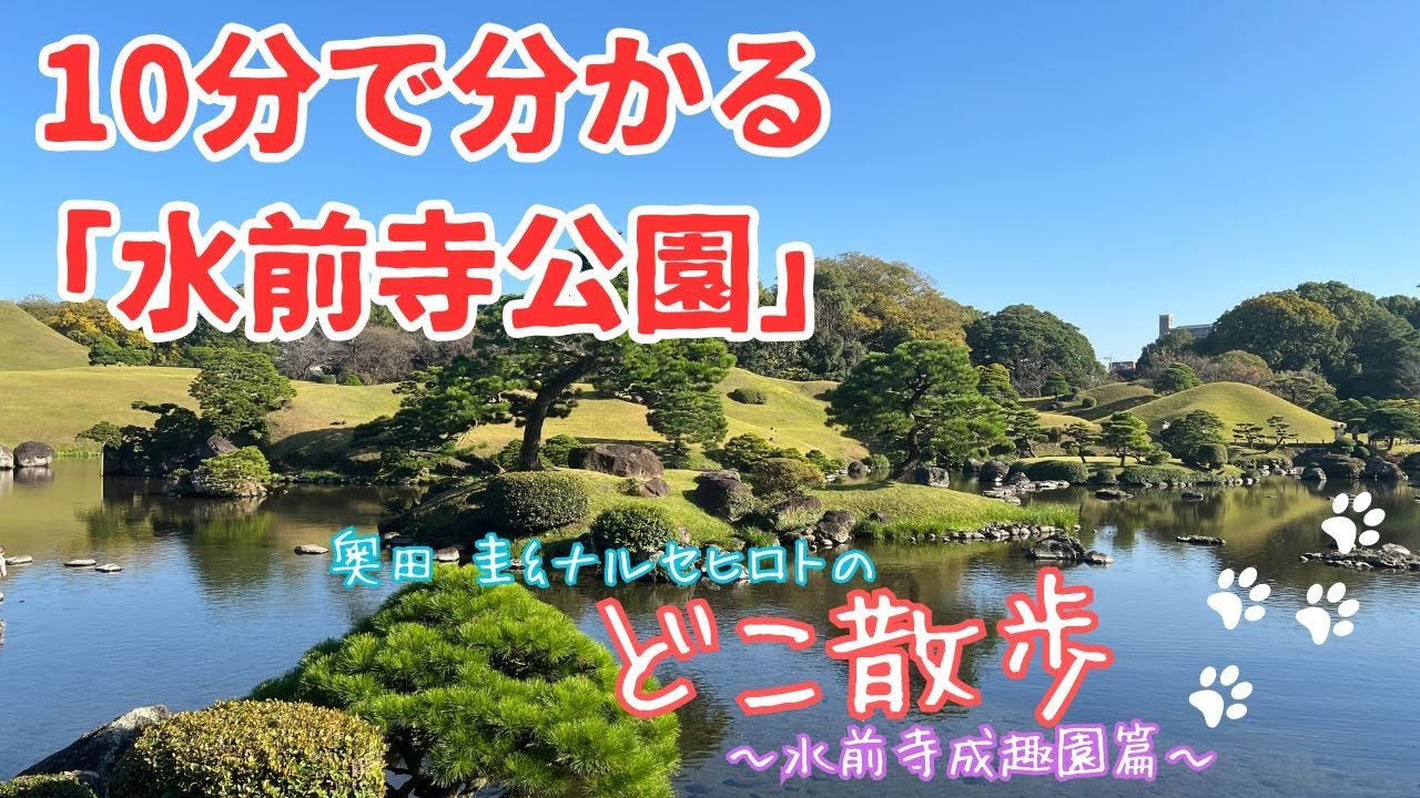 10分で分かる 観る地図　『どこ散歩　秋の水前寺成趣園篇』260117　　#どこ散歩 #水前寺公園 #水前寺成趣園 #奥田圭 #ナルセヒロト #10分でわかる