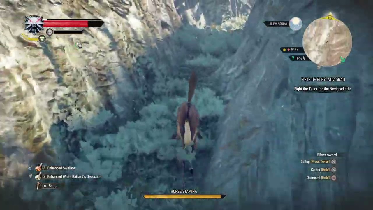 The Witcher 3: Wild Hunt - What The Heck?