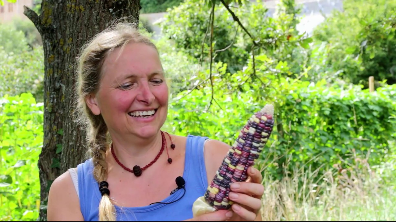 Portrait d'artisans semenciers - Sybille STAMMBERGER