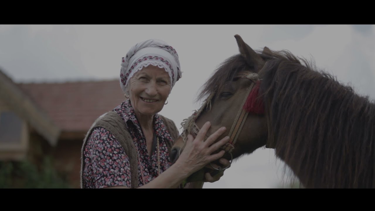 Descoperă MOLDOVA MEA / Istorii de succes - AgroPensiunea CASA PĂRINTEASCĂ / Film documentar