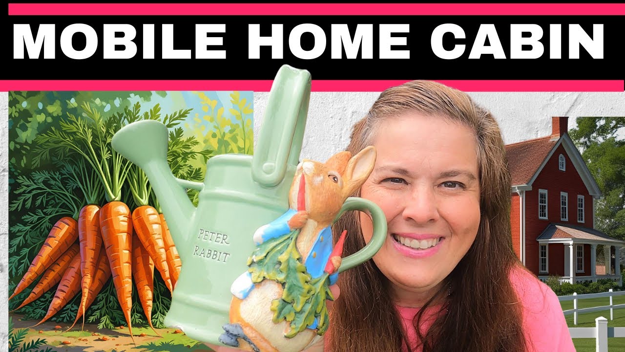 OH BOY!!! I FOUND IT MOBILE HOME CABIN THRIFT STORE HAUL