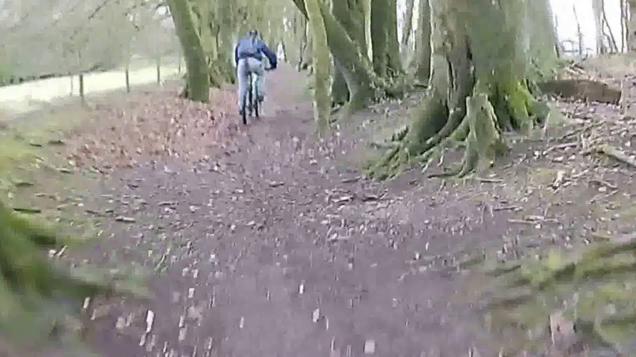 Cheesefoot Head Woods