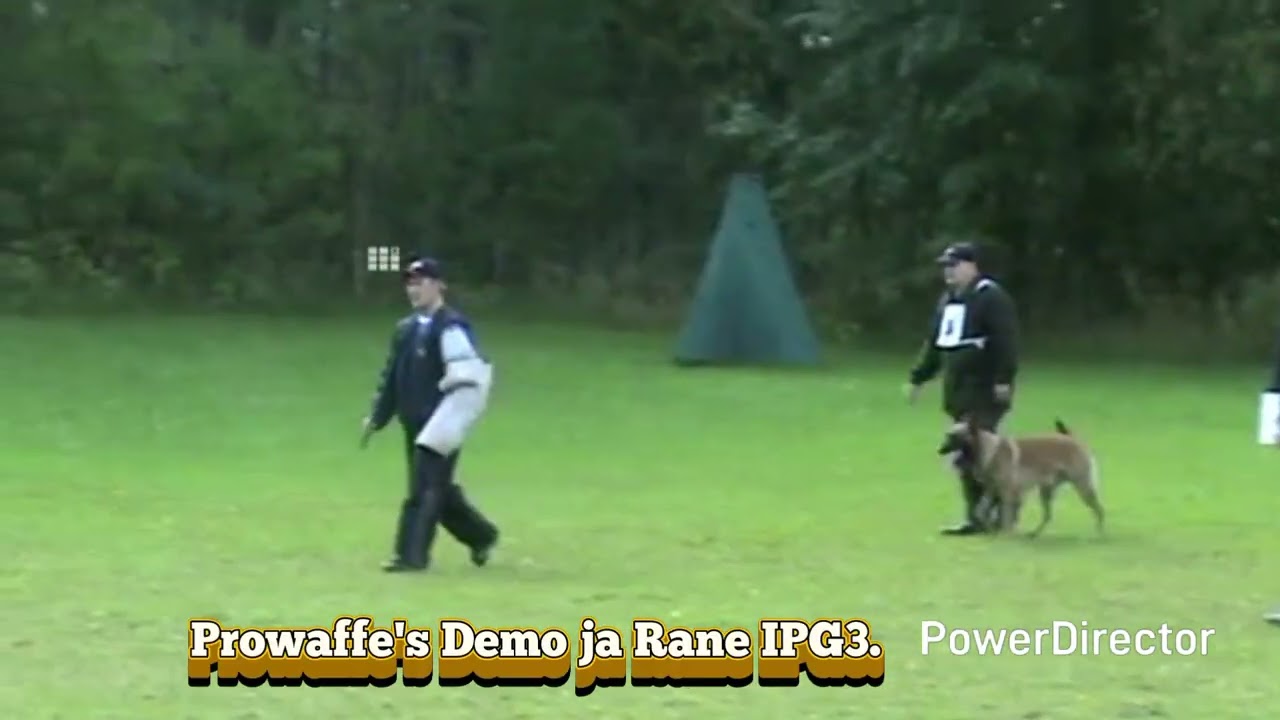 IPG3 Prowaffe's Demo ja Rane