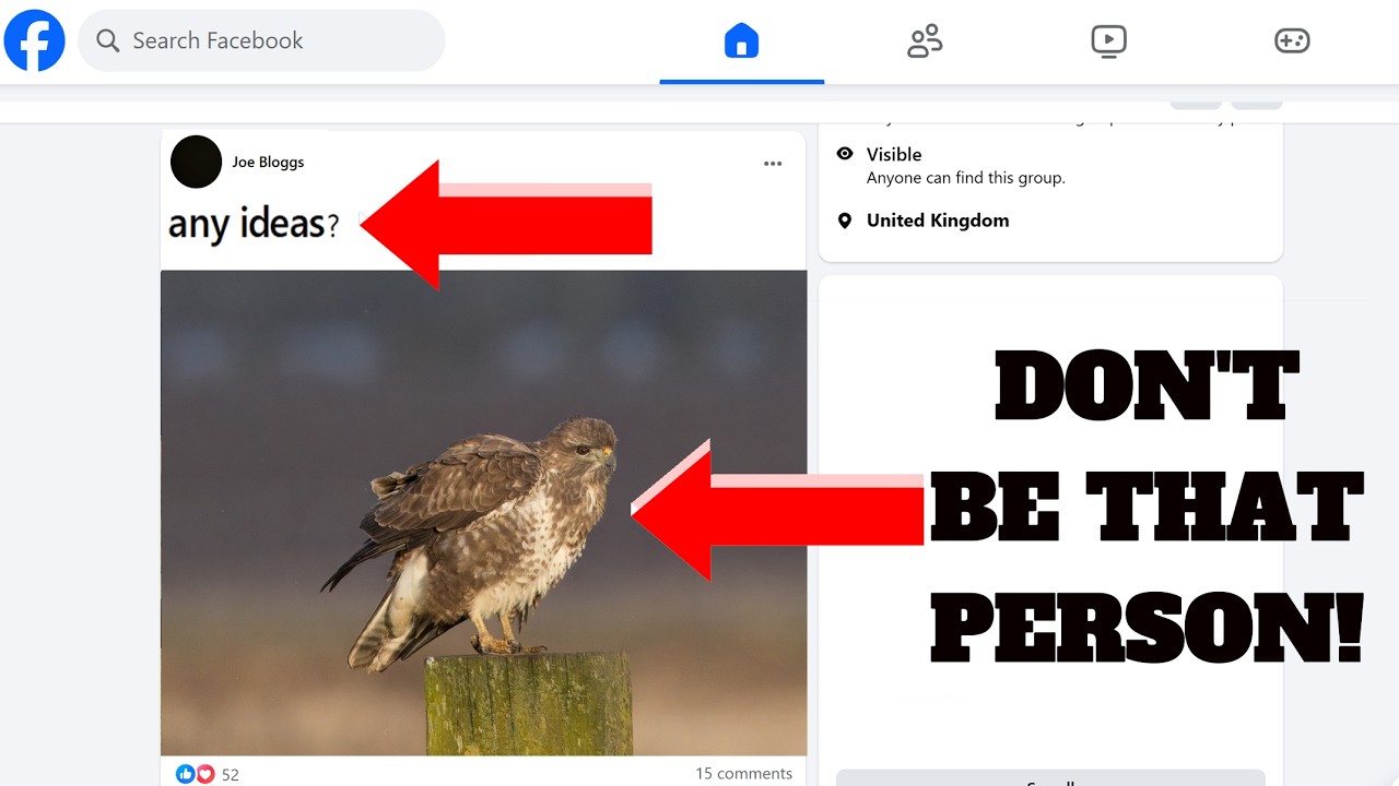 Прекратите спрашивать в Facebook! Простые способы мгновенно определить любую птицу.