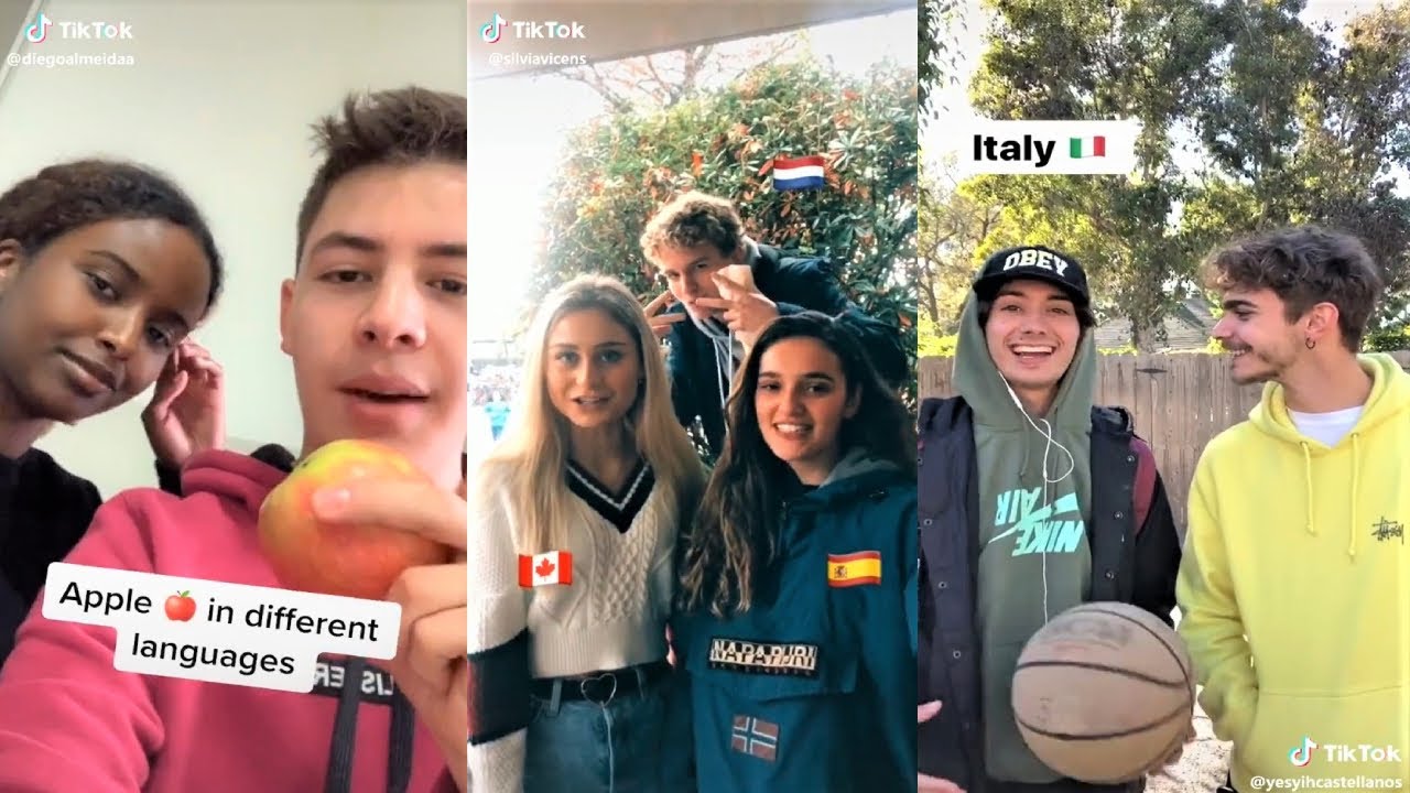 INTERNATIONAL SCHOOL CHECK