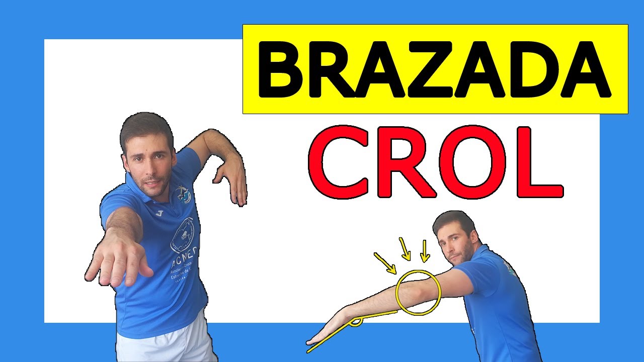 Fases de la BRAZADA de CROL (Estilo Libre) - Acci&oacute;n de Brazos Crol 🏊