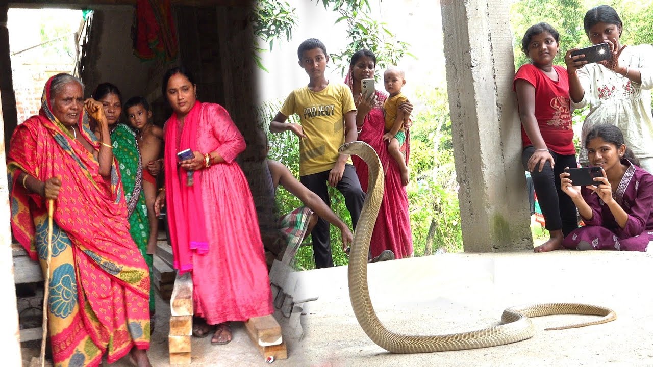 बच्चा जहाँ खेल रहे थे उसके नीचे नाग साँप चुपा था || SPECTACLED COBRA RESCUE ||