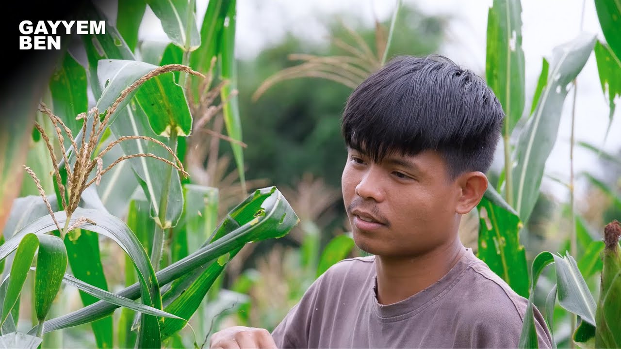 [FULL VIDEO] 365 Days of harvesting vegetables, fishing and cooking what nature provides
